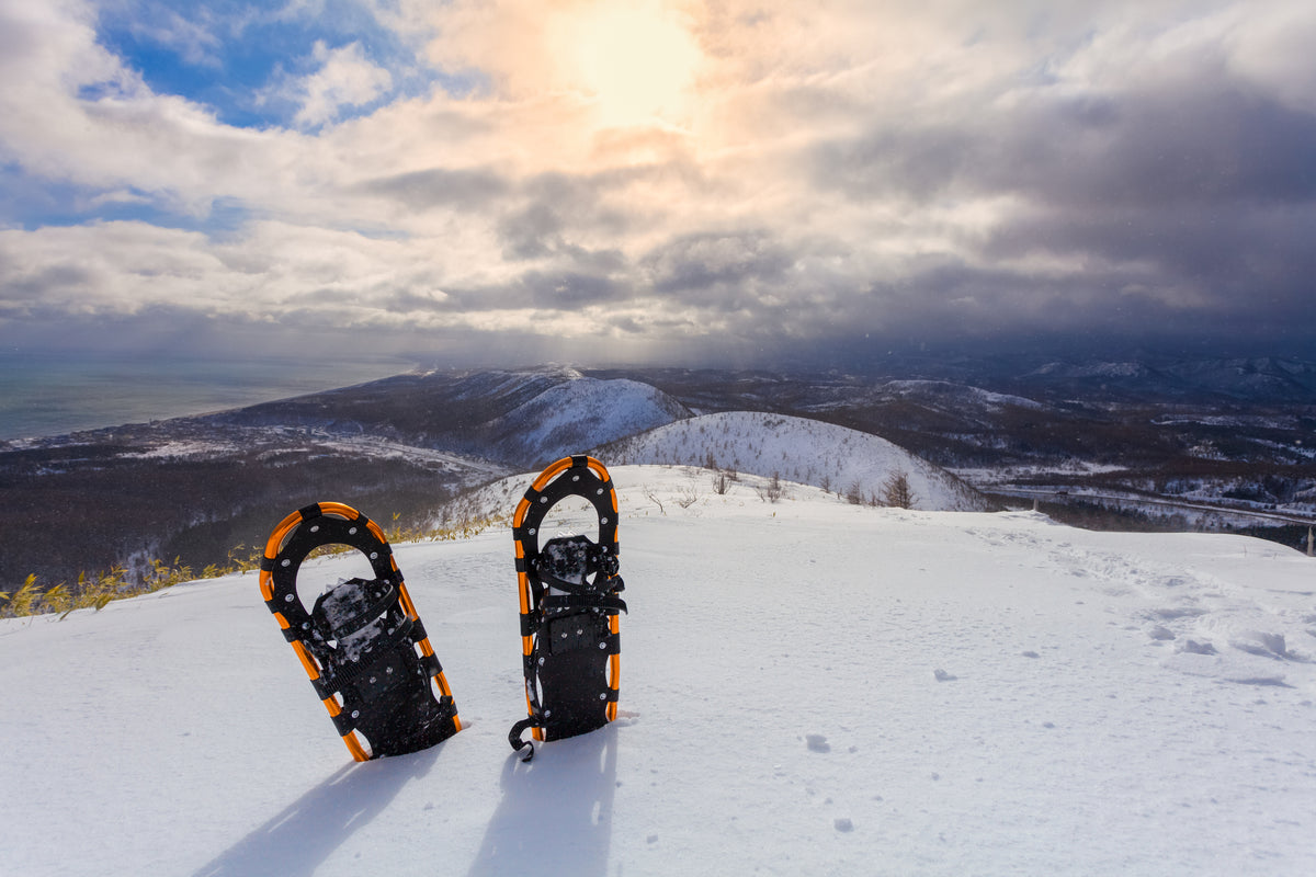 Best Snowshoes of 2022 Definitive Guide & Woods
