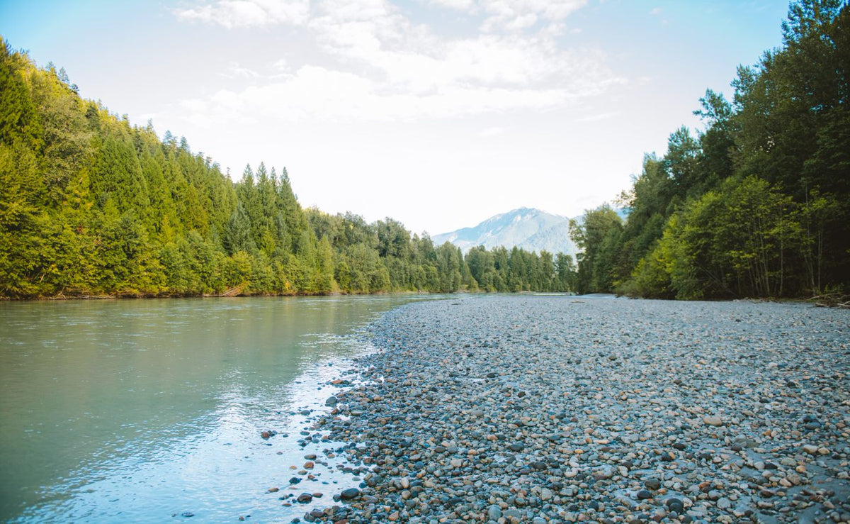 Woods™ Bestsellers & Woods