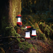 Load image into Gallery viewer, Three LED lanterns and 1 flashlight in red lit in the woods